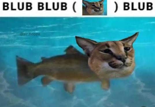 Floppa head on a fish underwater saying blub