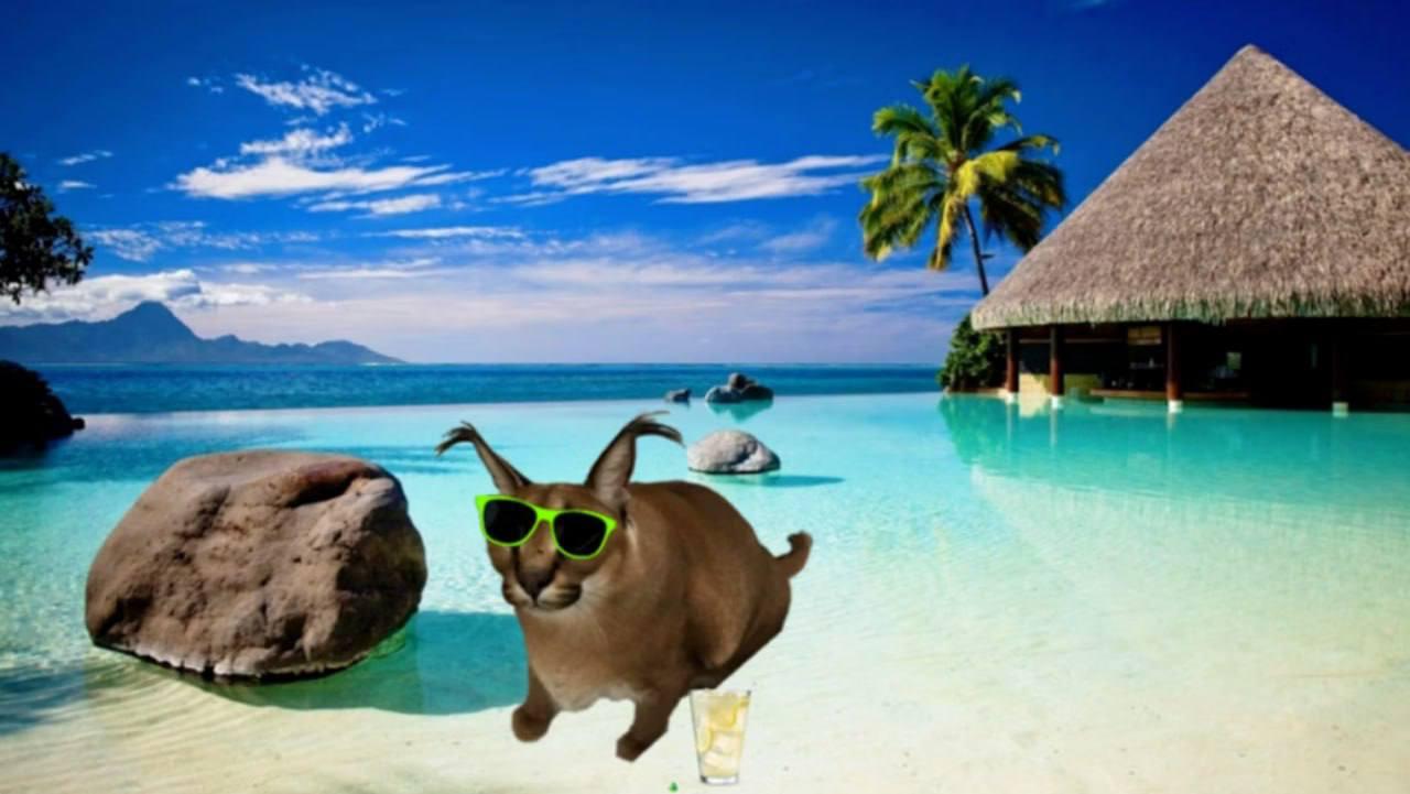 Floppa in green sunglasses wading through a tropical pool